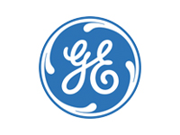 731General Electric HealthCare